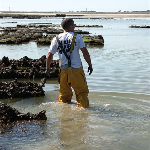 Parcs à huîtres de la famille Guézel