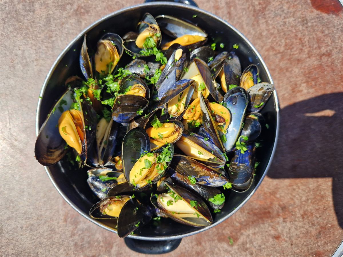 Marmite de moules marinières au persil